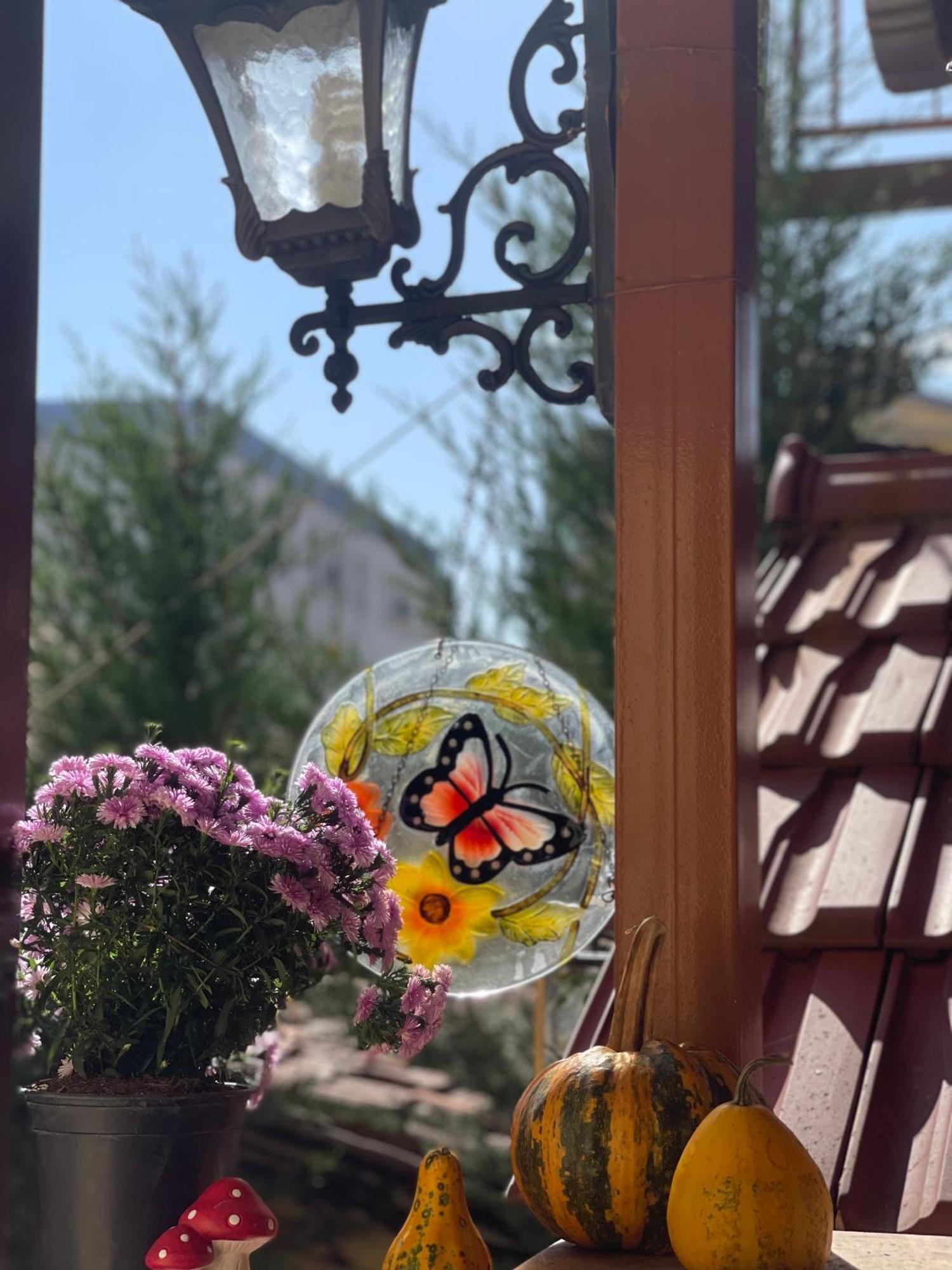 Shkodra Guest House & Trips Экстерьер фото